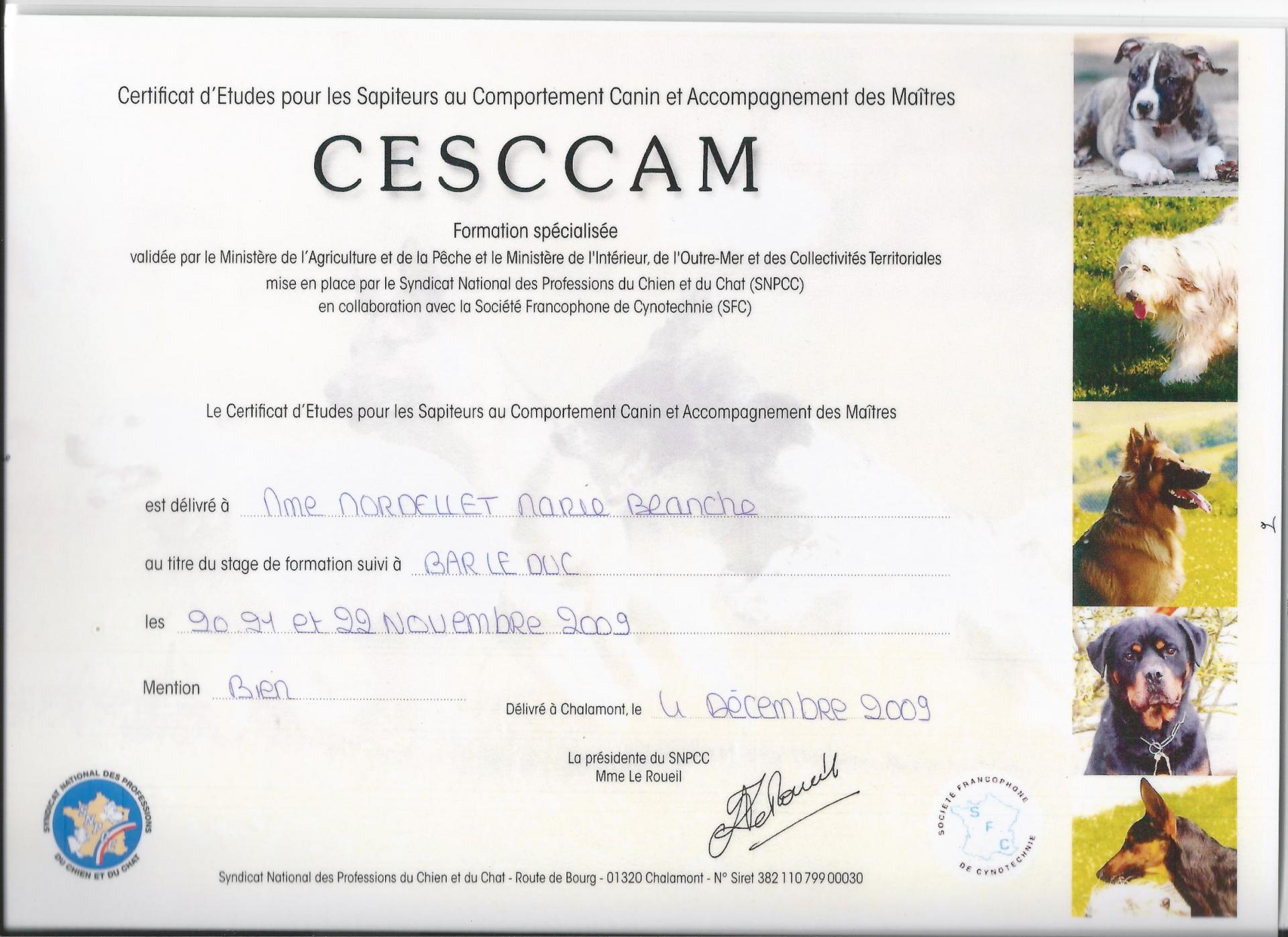 Cescam 1